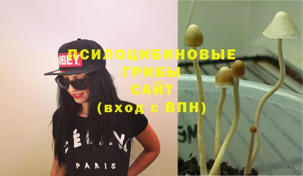 крисы Навашино