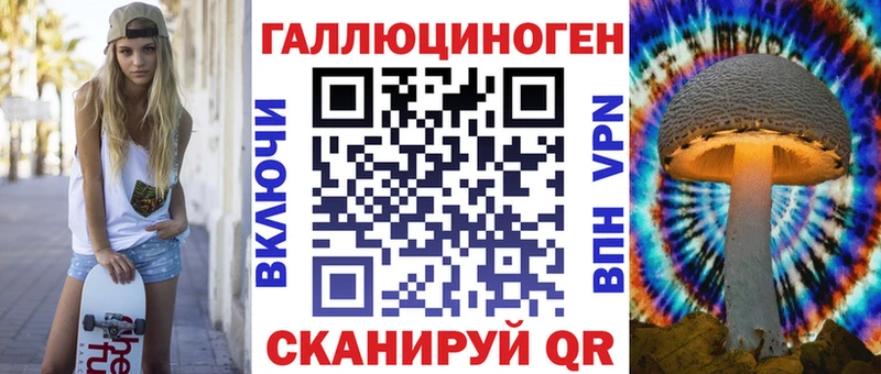 Псилоцибиновые грибы Psilocybine cubensis  Мыски 