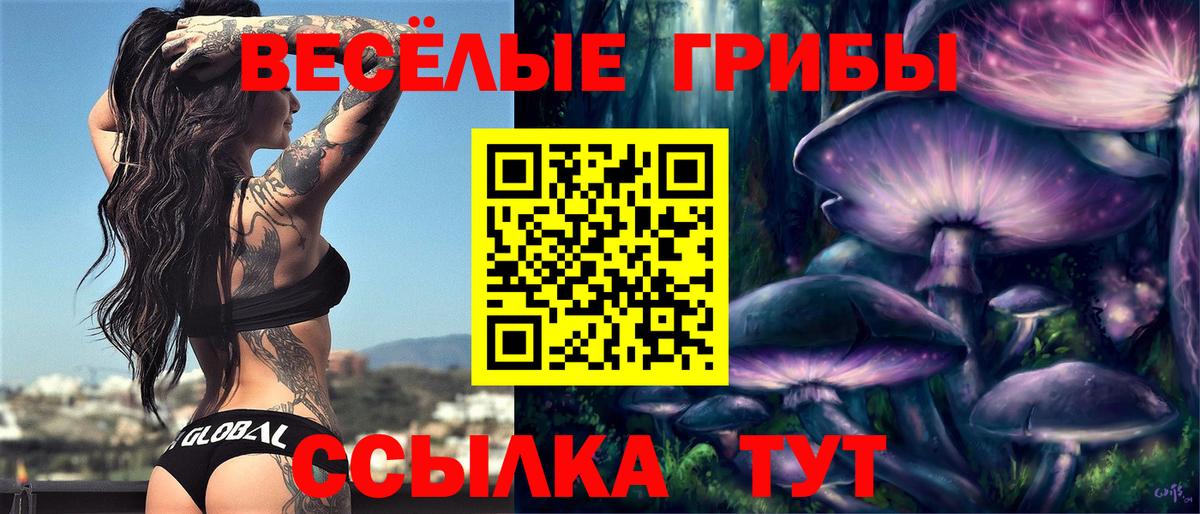 Галлюциногенные грибы GOLDEN TEACHER Мыски