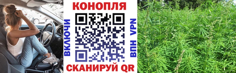 Бошки Шишки индика  Мыски 
