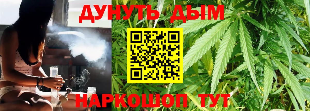 Конопля сатива  Вход с VPN  Мыски  Бошки Шишки гибрид  Канабис семена 